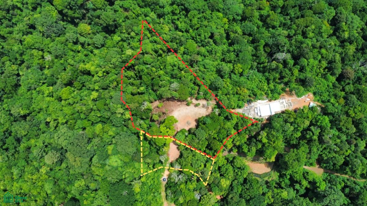 0 bed Land For Sale in Osa, Puntarenas - 1