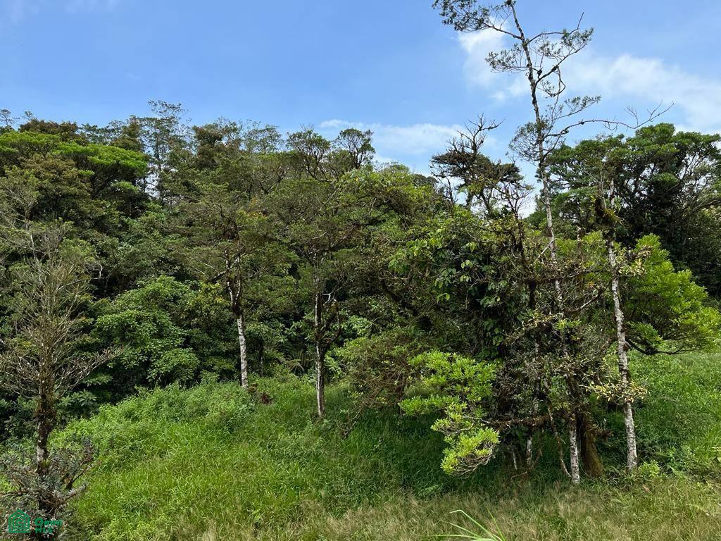 2 bed Land For Sale in Montes De Oro, Puntarenas - 1