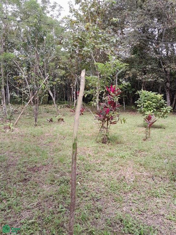 0 bed Land For Sale in Puntarenas, Puntarenas - 1