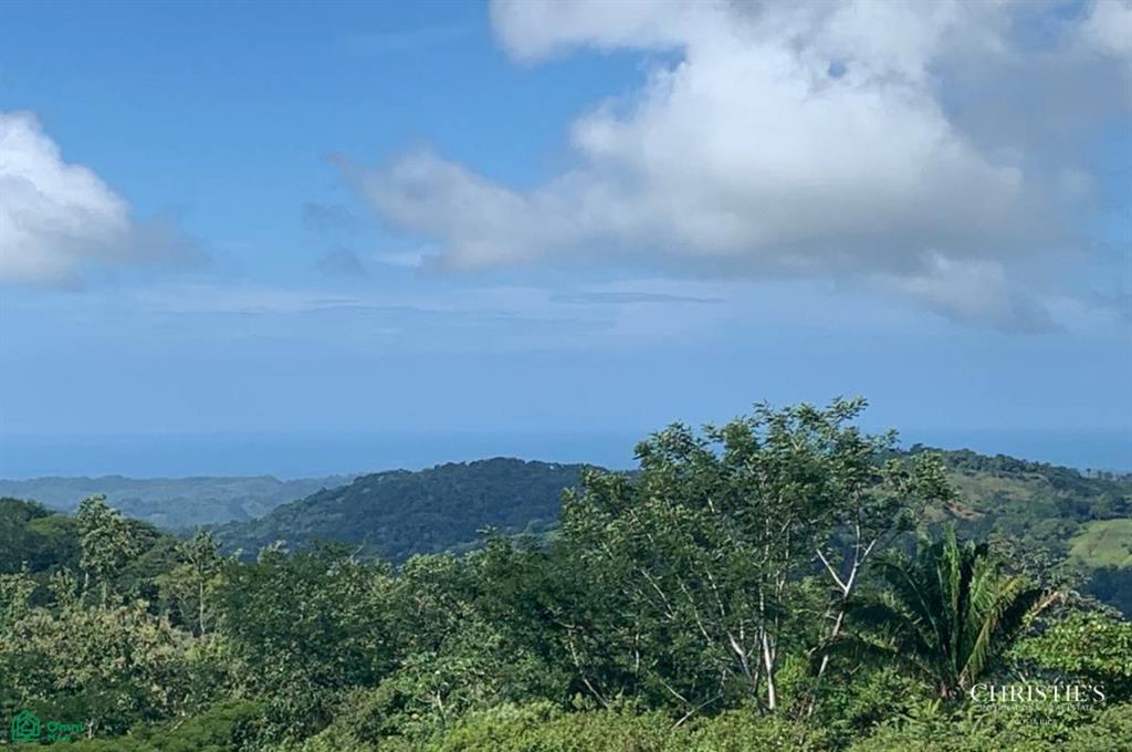 0 bed Land For Sale in Nicoya, Guanacaste - 1