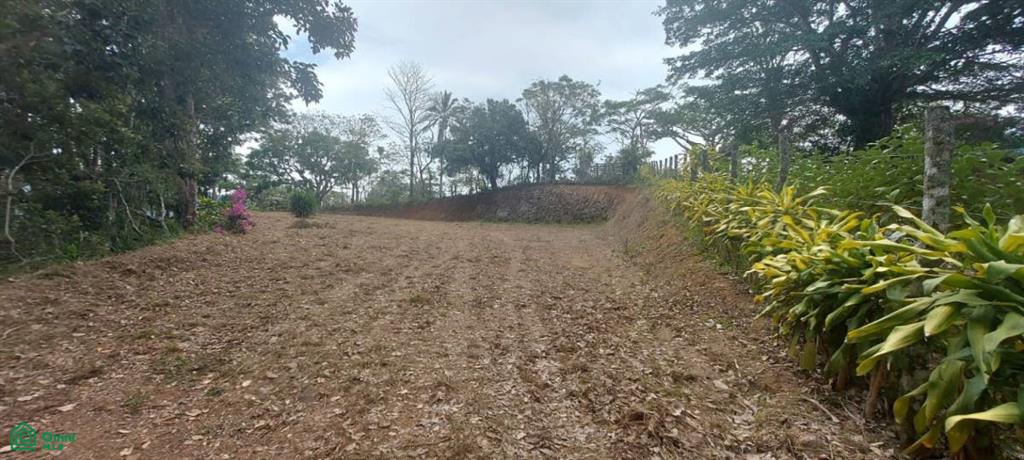 0 bed Land For Sale in Atenas, Alajuela - 1