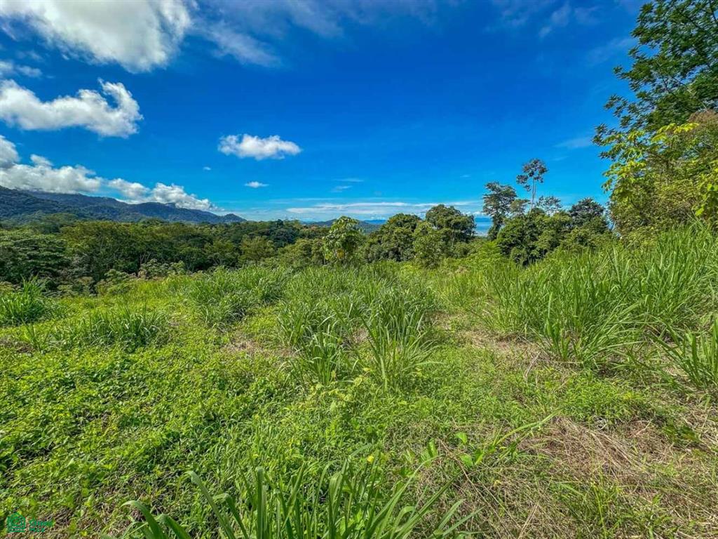 0 bed Land For Sale in Osa, Puntarenas - 1