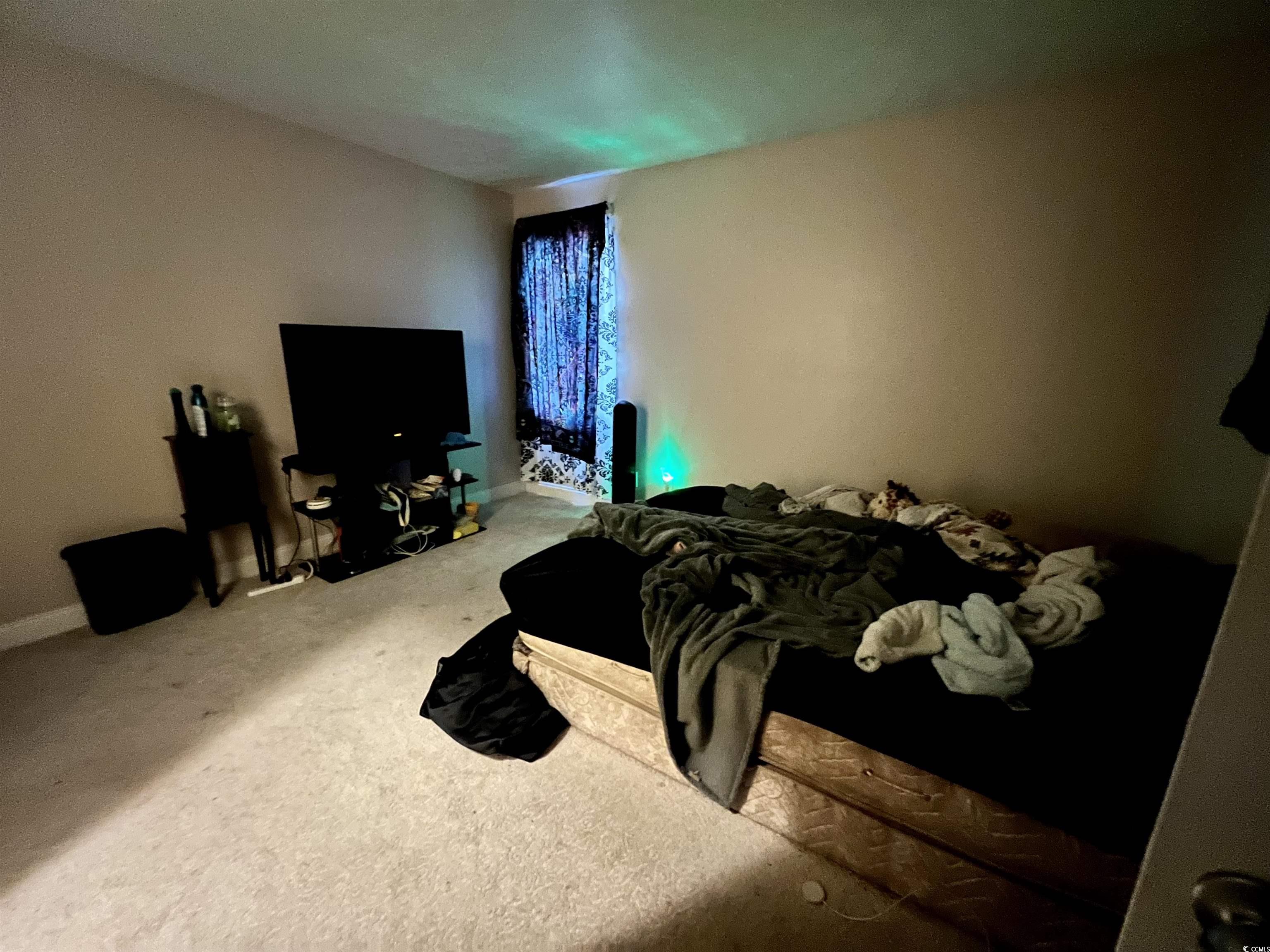 2512339 | Photo 12