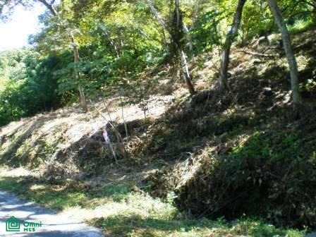 0 bed Land For Sale in Carrillo, Guanacaste - 1