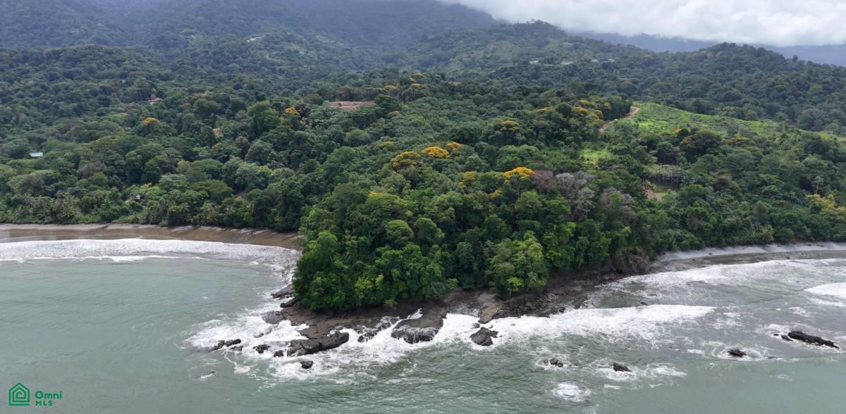 12 bed Single Family Homes For Sale in Osa, Puntarenas - 1