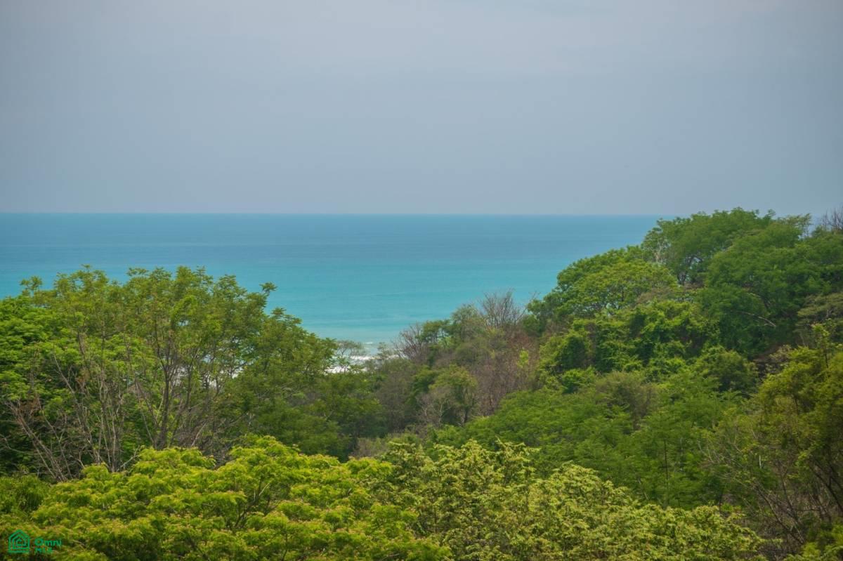 0 bed Land For Sale in Puntarenas, Puntarenas - 1