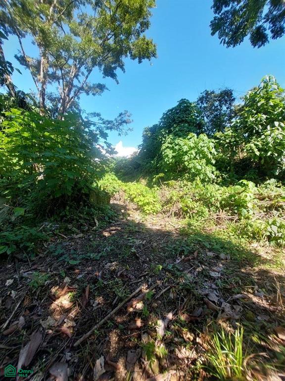 0 bed Single Family Homes For Sale in Turrialba, Cartago - 1