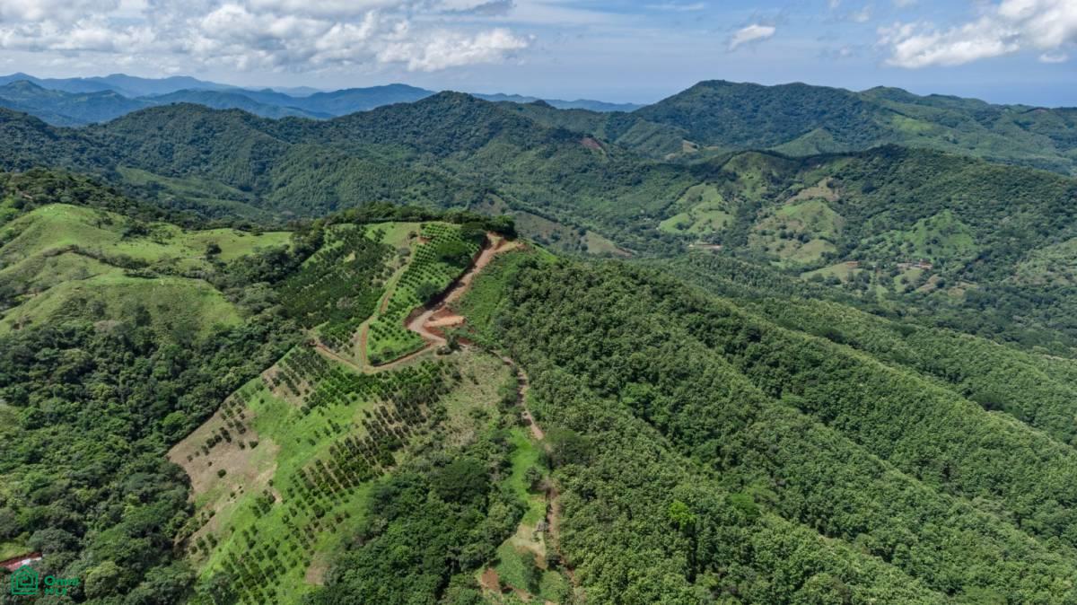 0 bed Land For Sale in Nicoya, Guanacaste - 1