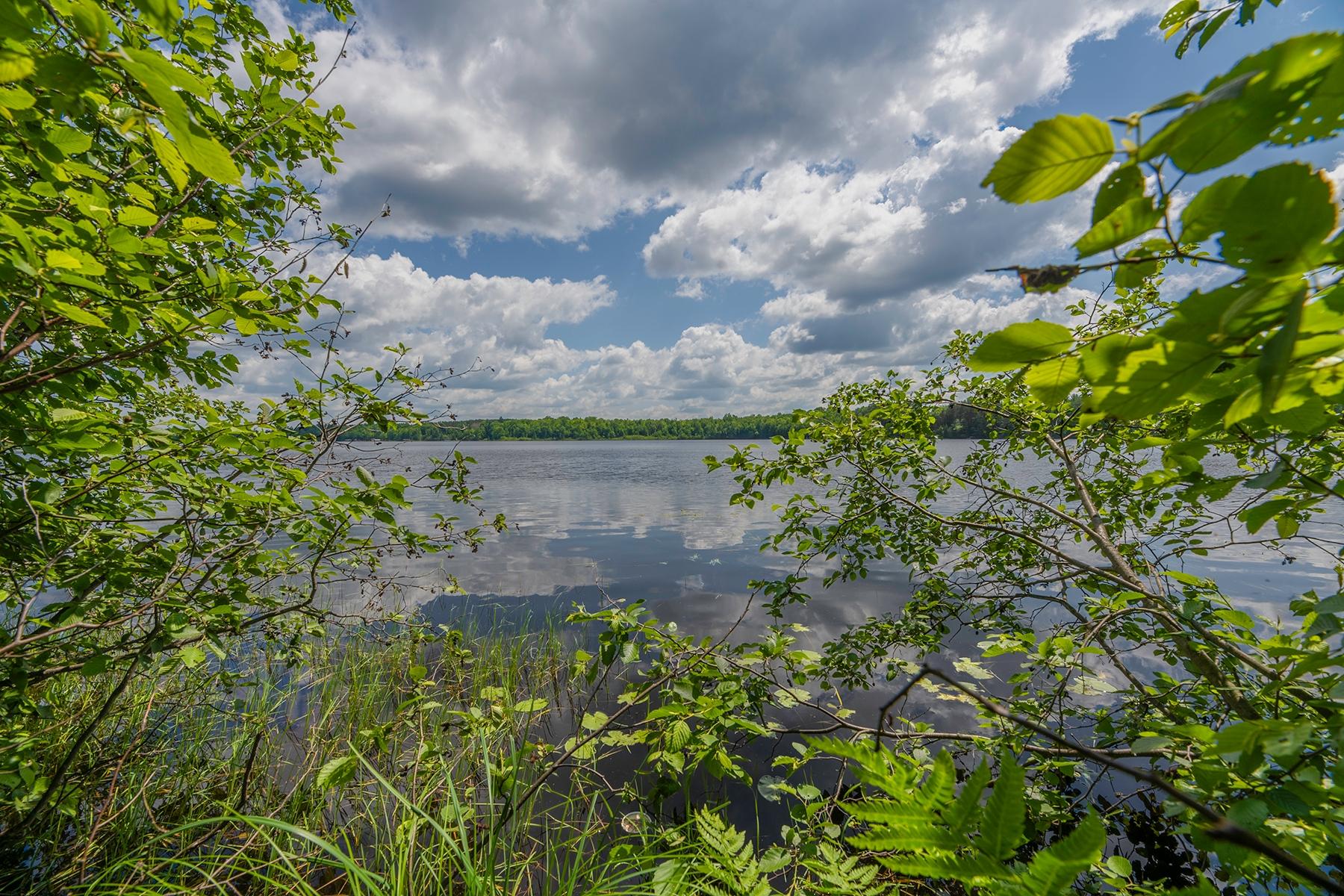 Undocumented Lake lot picture