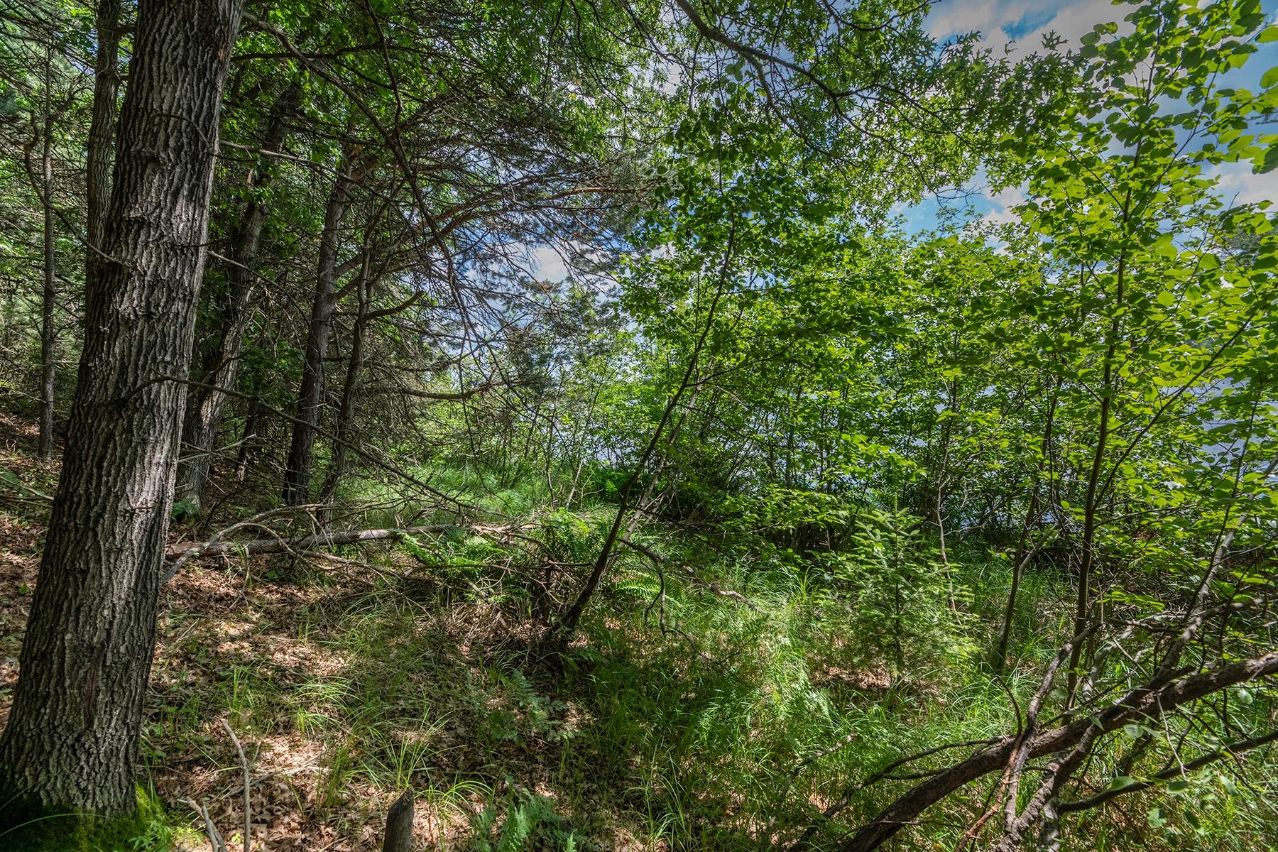 Undocumented Lake Property Off Hwy 45 Photo 11