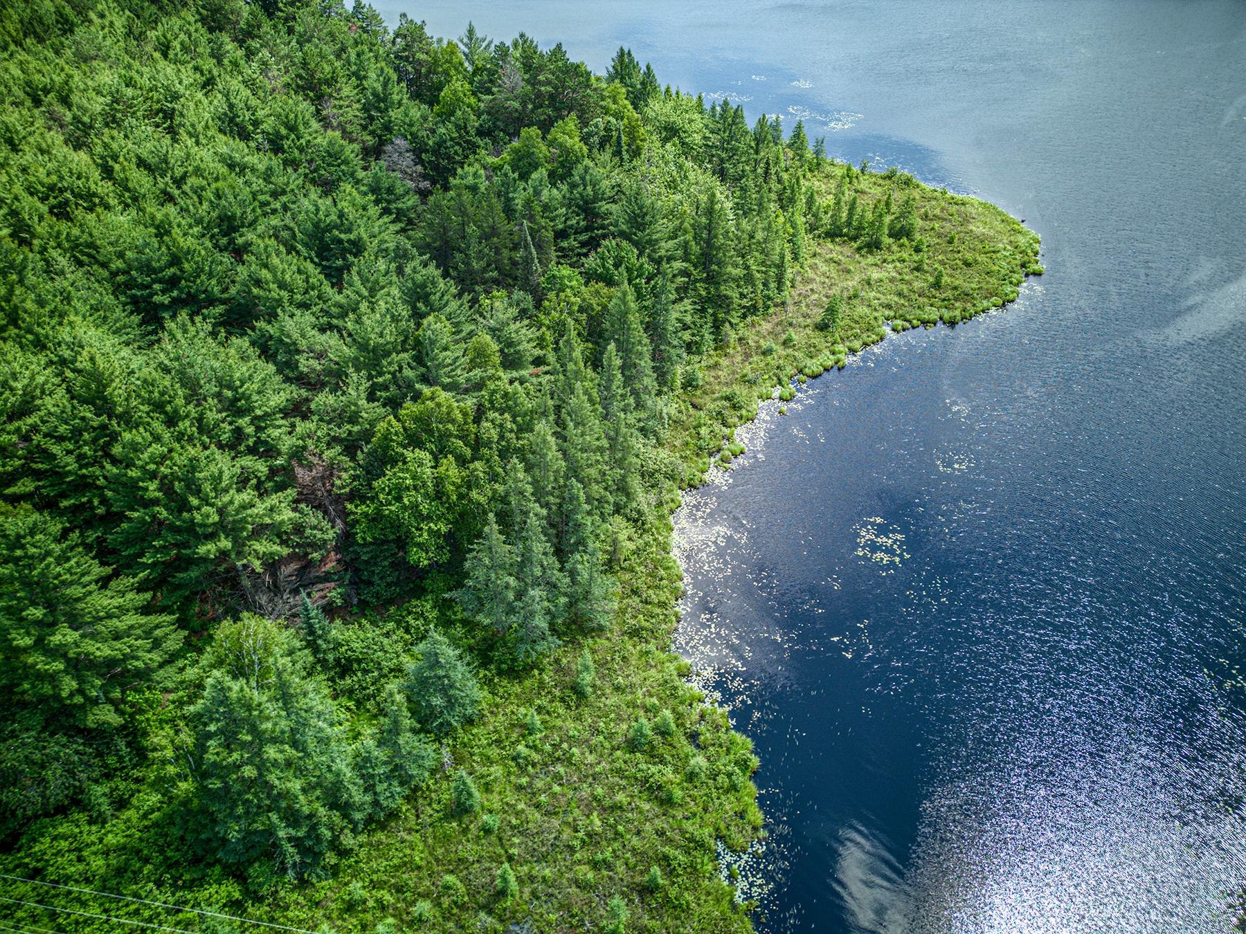 Undocumented Lake Property Off Hwy 45 Photo 10