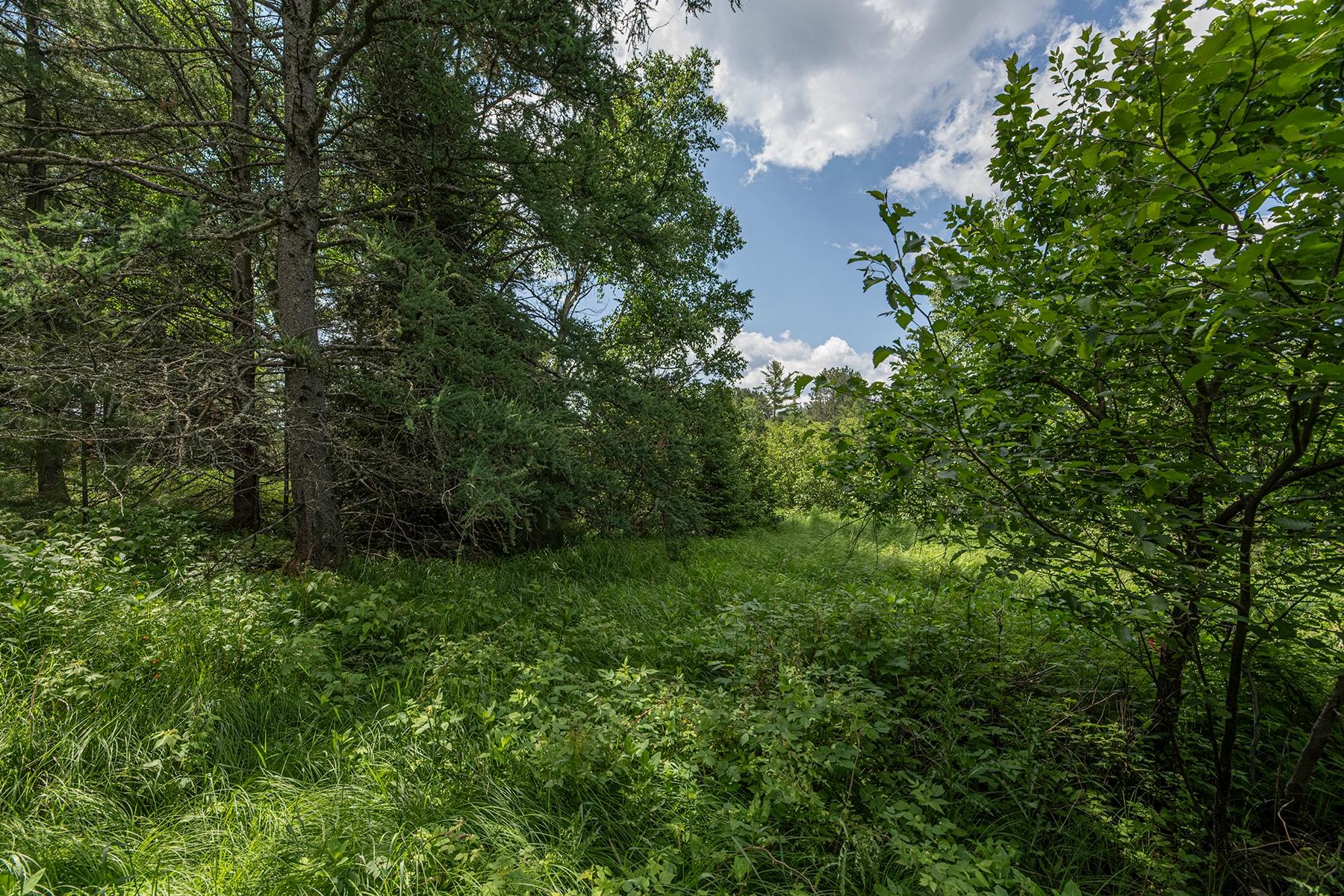 Undocumented Lake Property Off Hwy 45 Photo 14