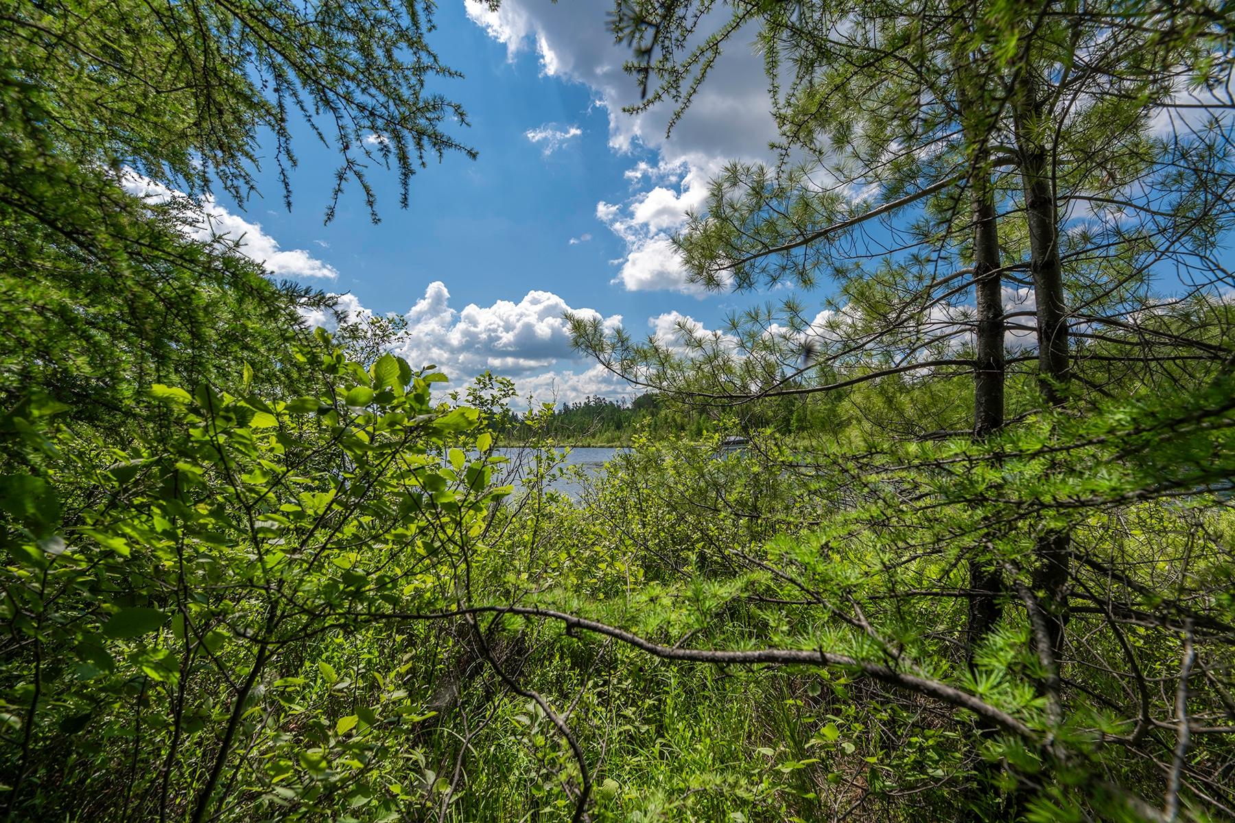 Undocumented Lake Property Off Hwy 45 Photo 20