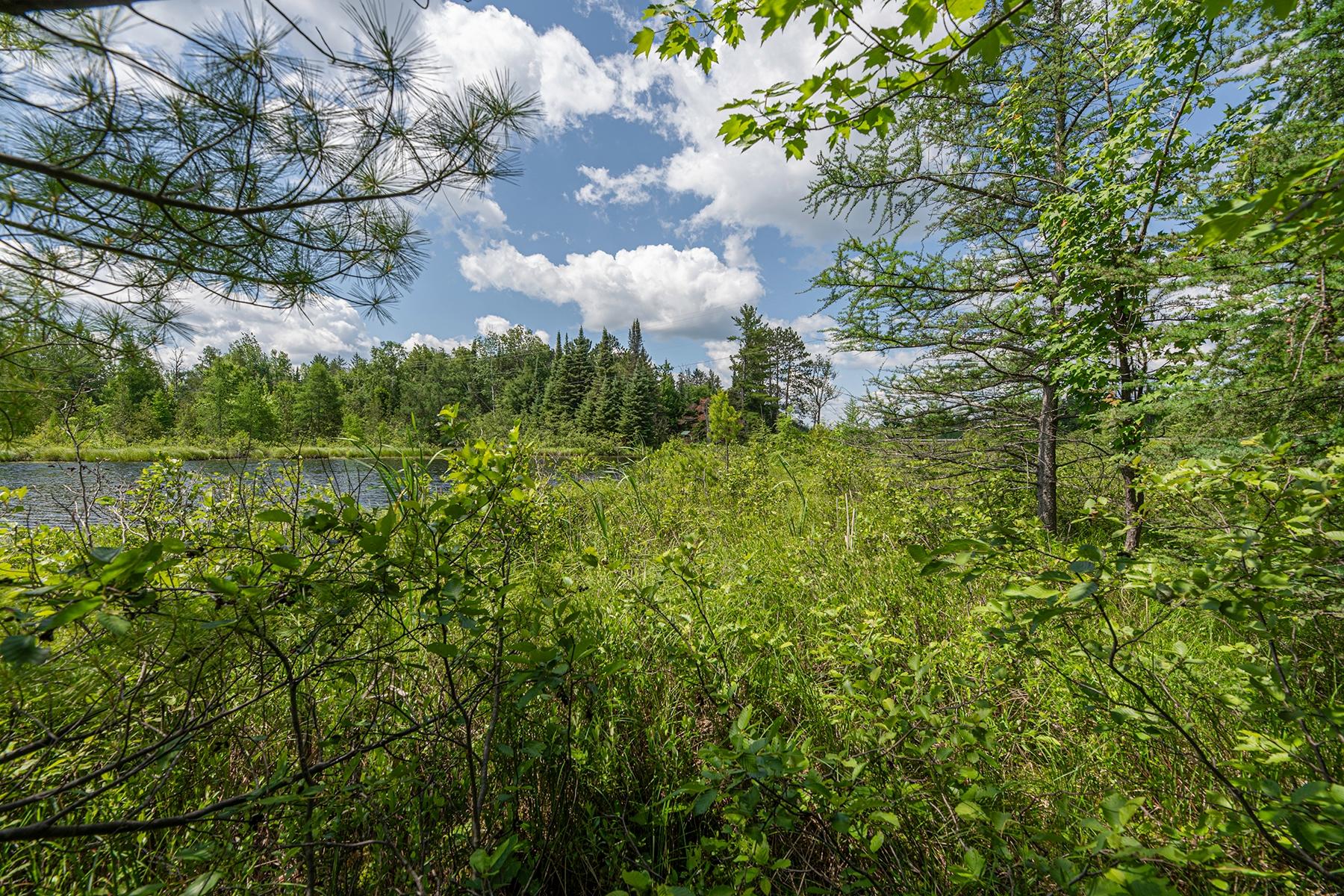 Undocumented Lake Property Off Hwy 45 Photo 21