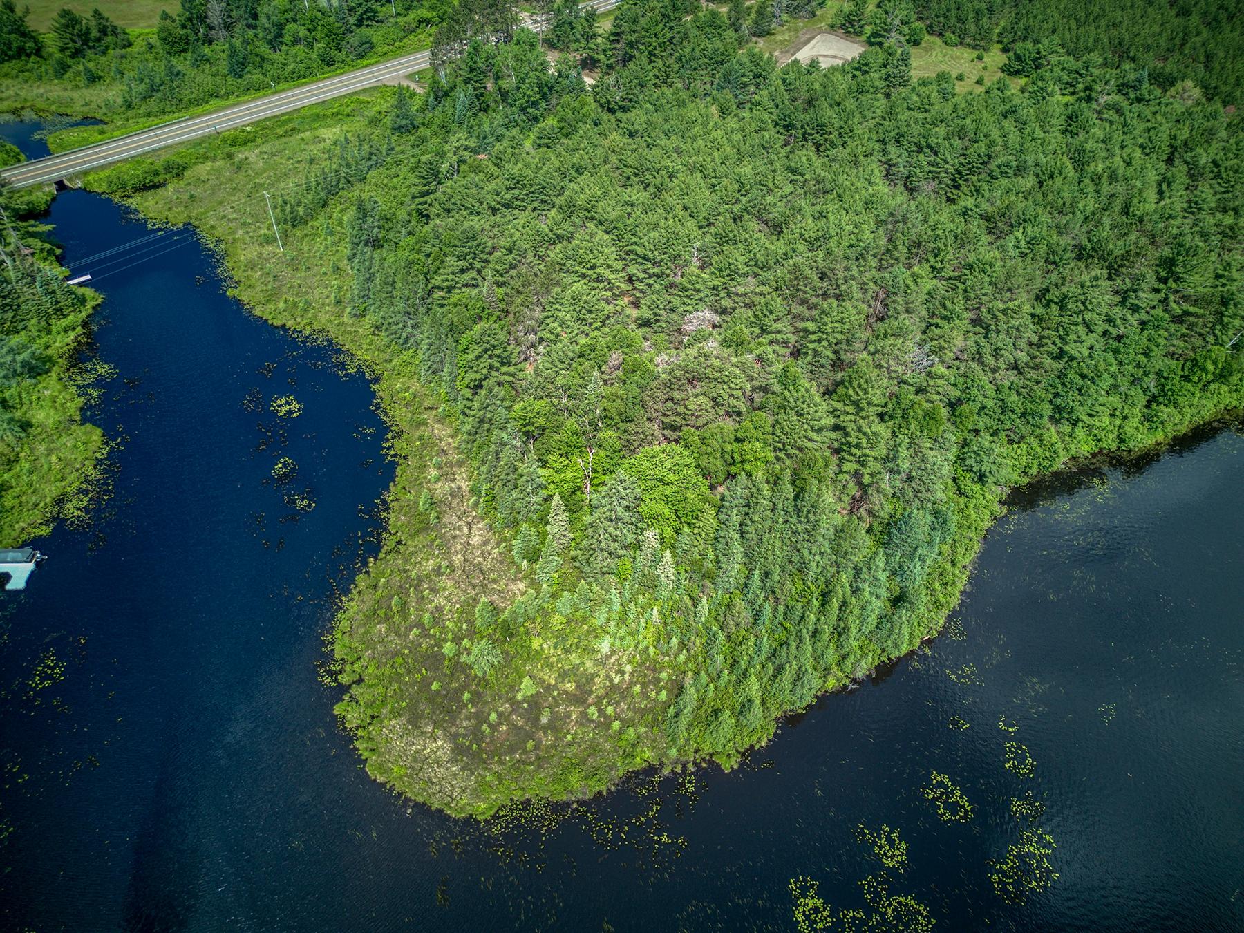 Undocumented Lake Property Off Hwy 45 Photo 4