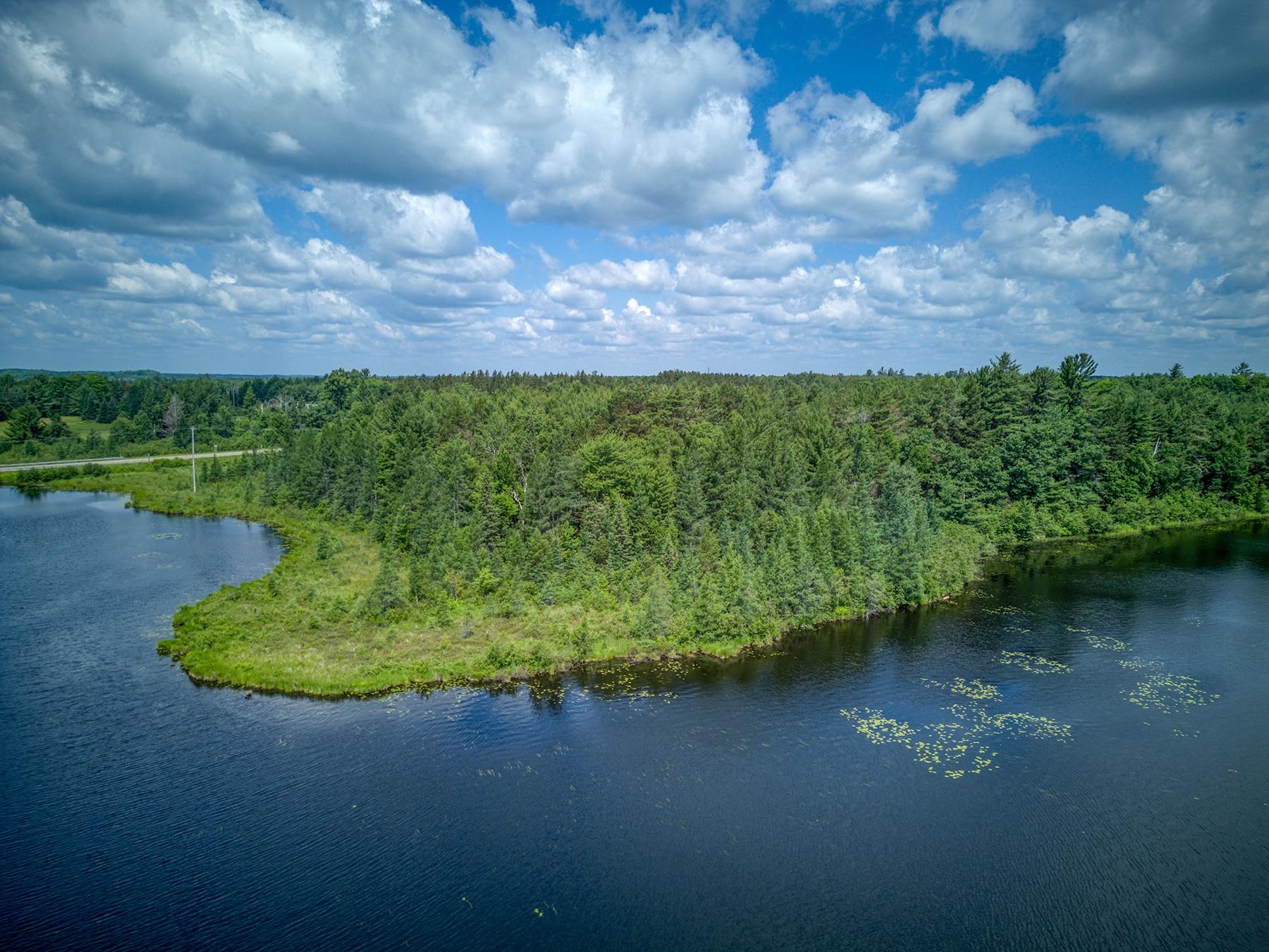 Undocumented Lake Property Off Hwy 45 Photo 8