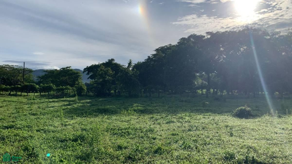 0 bed Land For Sale in Santa Cruz, Guanacaste - 1