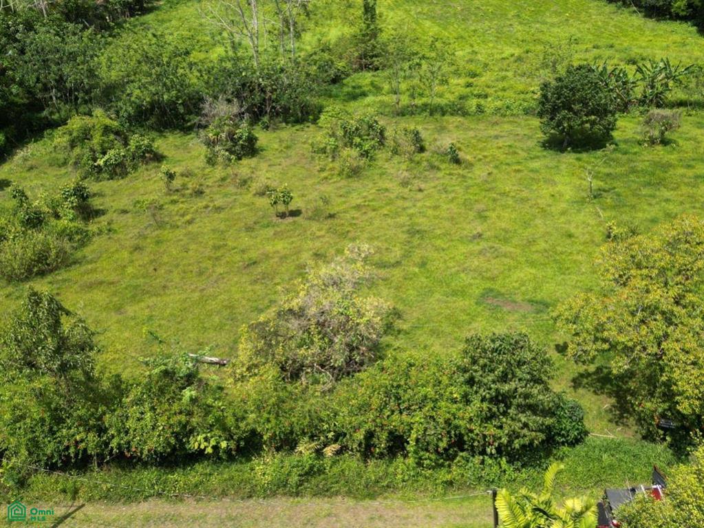 0 bed Land For Sale in San Ramón, Alajuela - 1