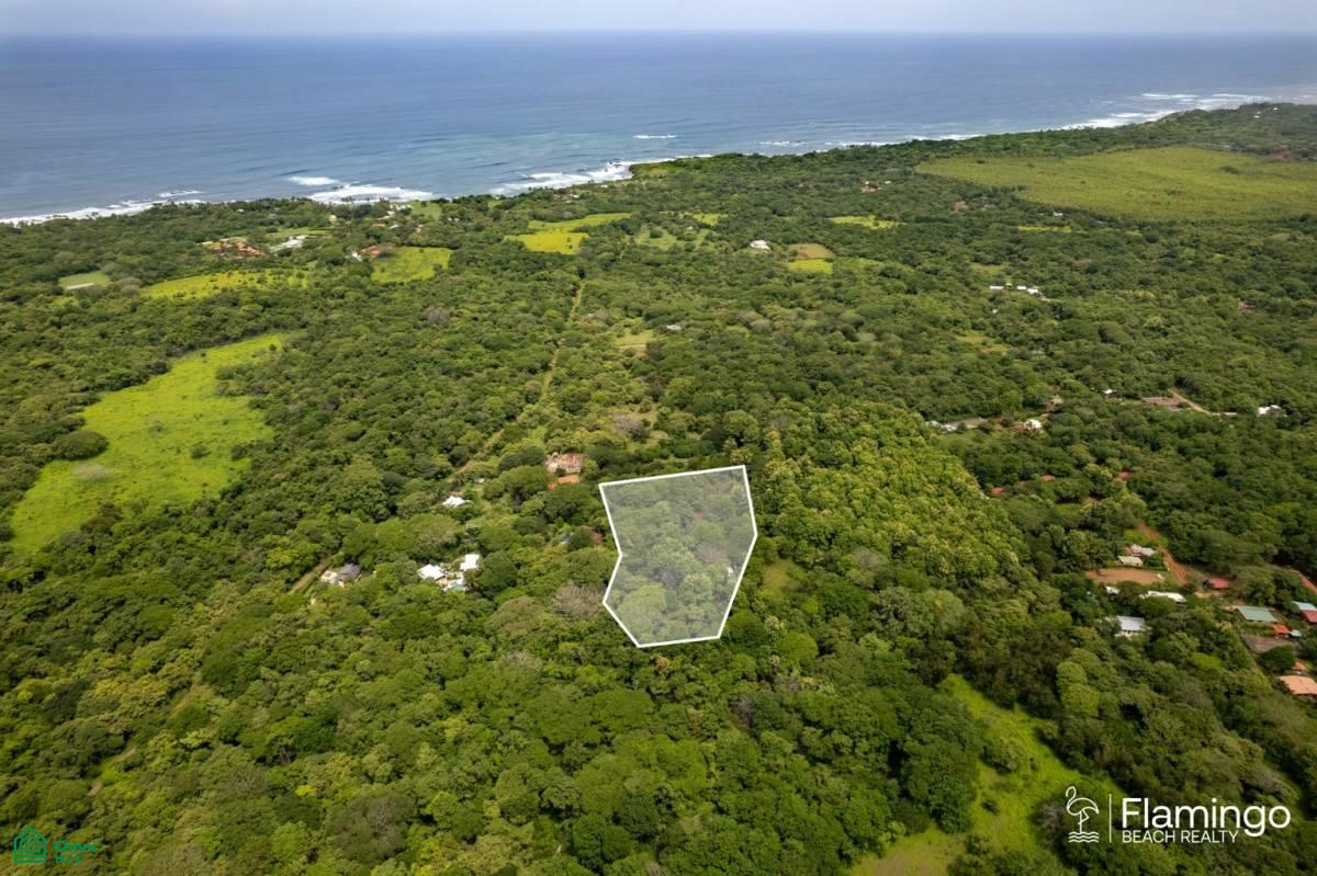 0 bed Land For Sale in Santa Cruz, Guanacaste - 1