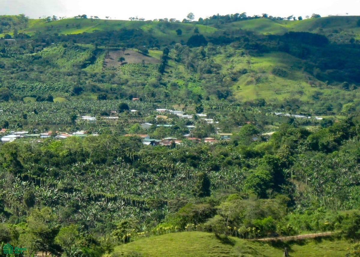 0 bed Land For Sale in Coto Brus, Puntarenas - 1