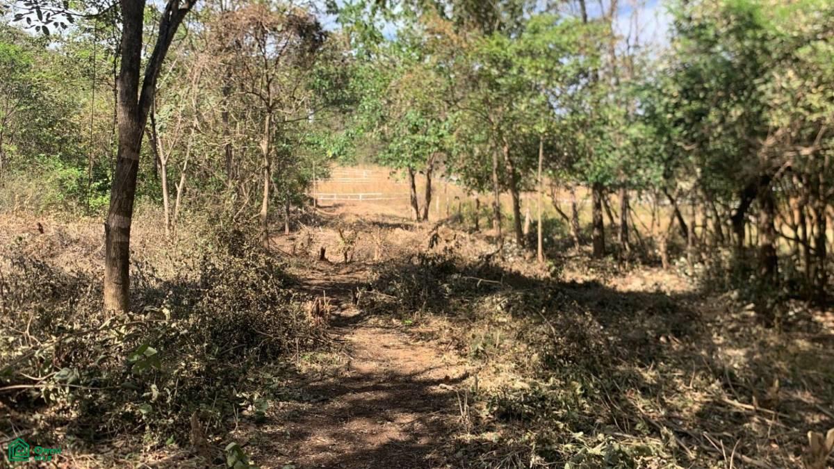0 bed Land For Sale in Santa Cruz, Guanacaste - 1