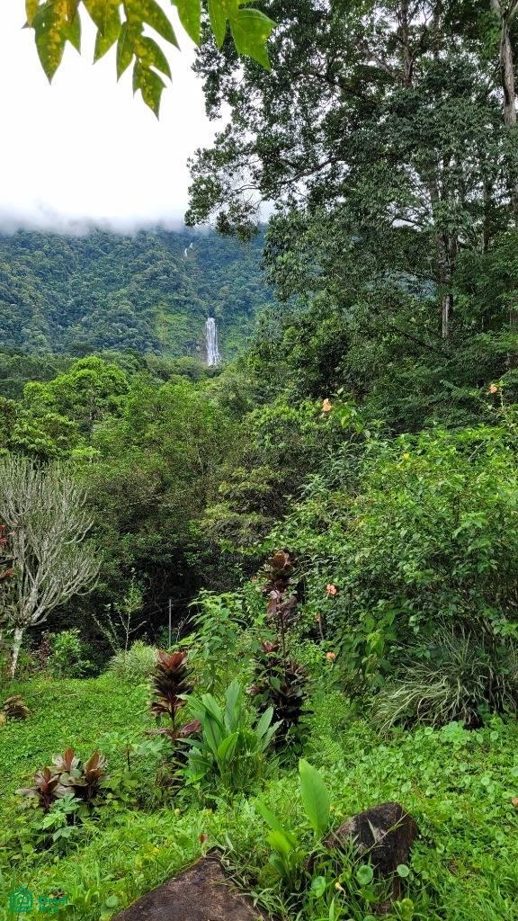 0 bed Land For Sale in Perez Zeledon, San Jose - 1