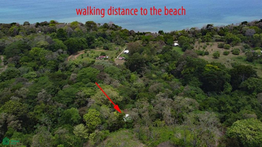 1 bed Single Family Homes For Sale in Golfito, Puntarenas - 1