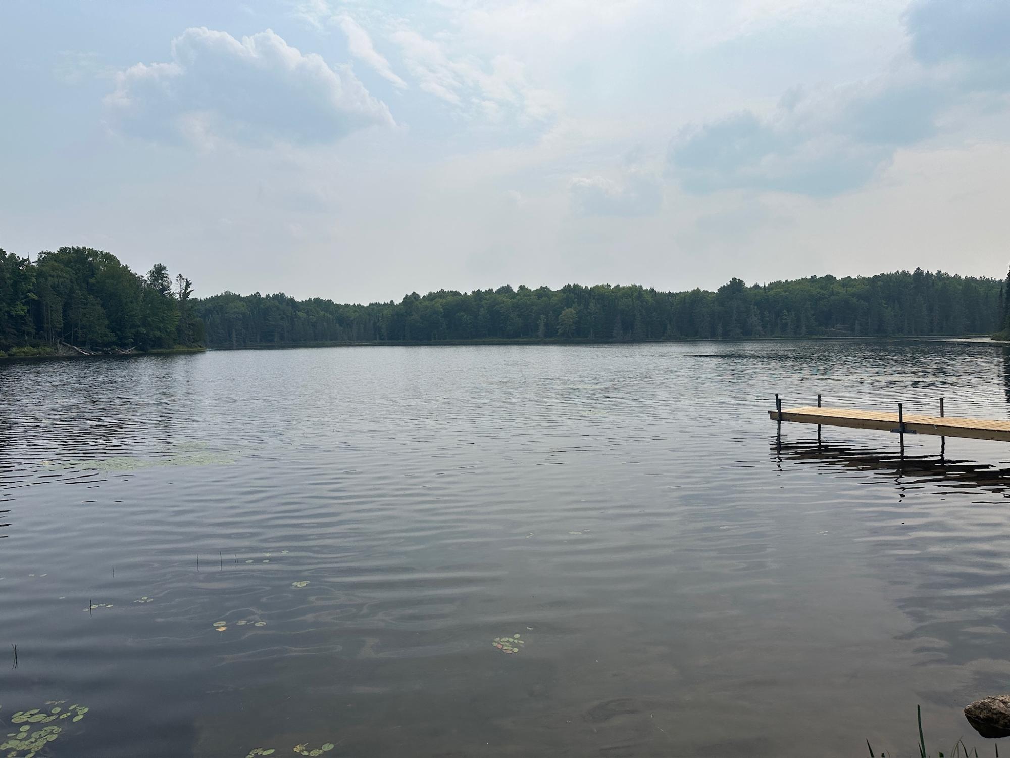 Undocumented Lake Property 8380 Harris Lake Rd E Photo 47