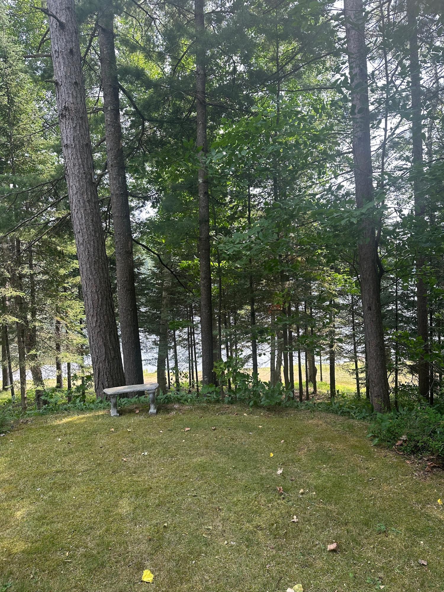 Undocumented Lake Property 8380 Harris Lake Rd E Photo 52