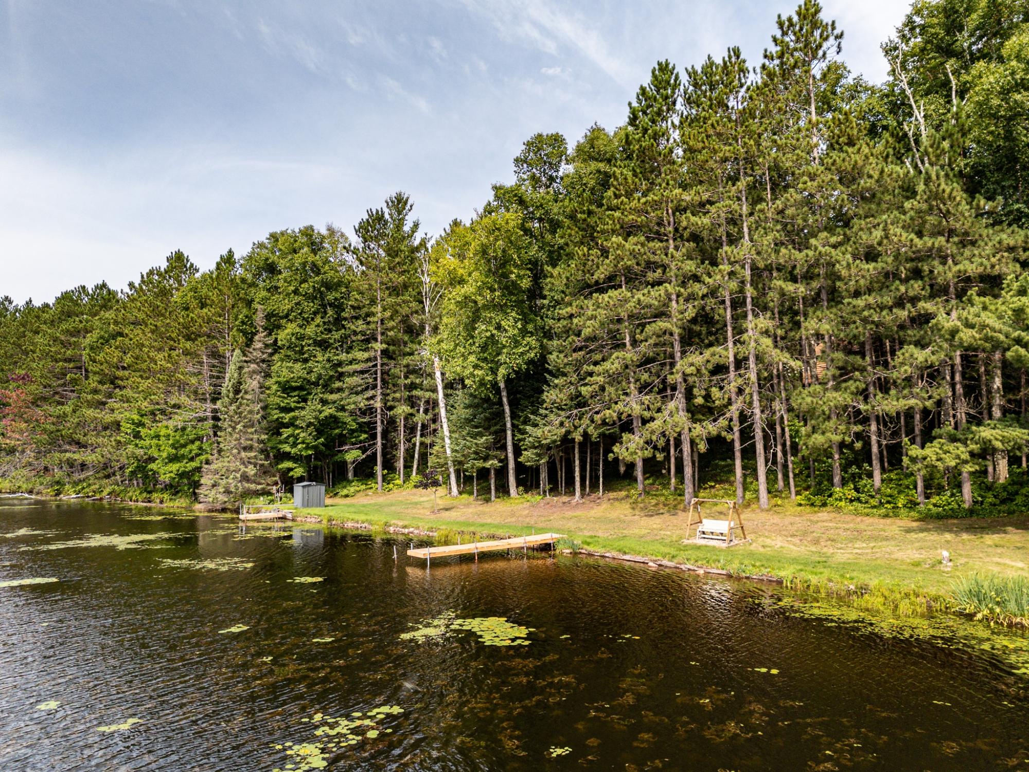 Undocumented Lake Property 8380 Harris Lake Rd E Photo 68