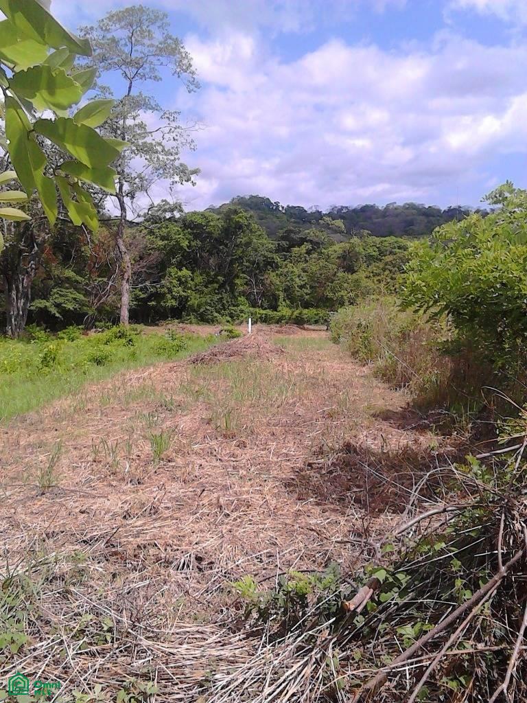 0 bed Land For Sale in Santa Cruz, Guanacaste - 1