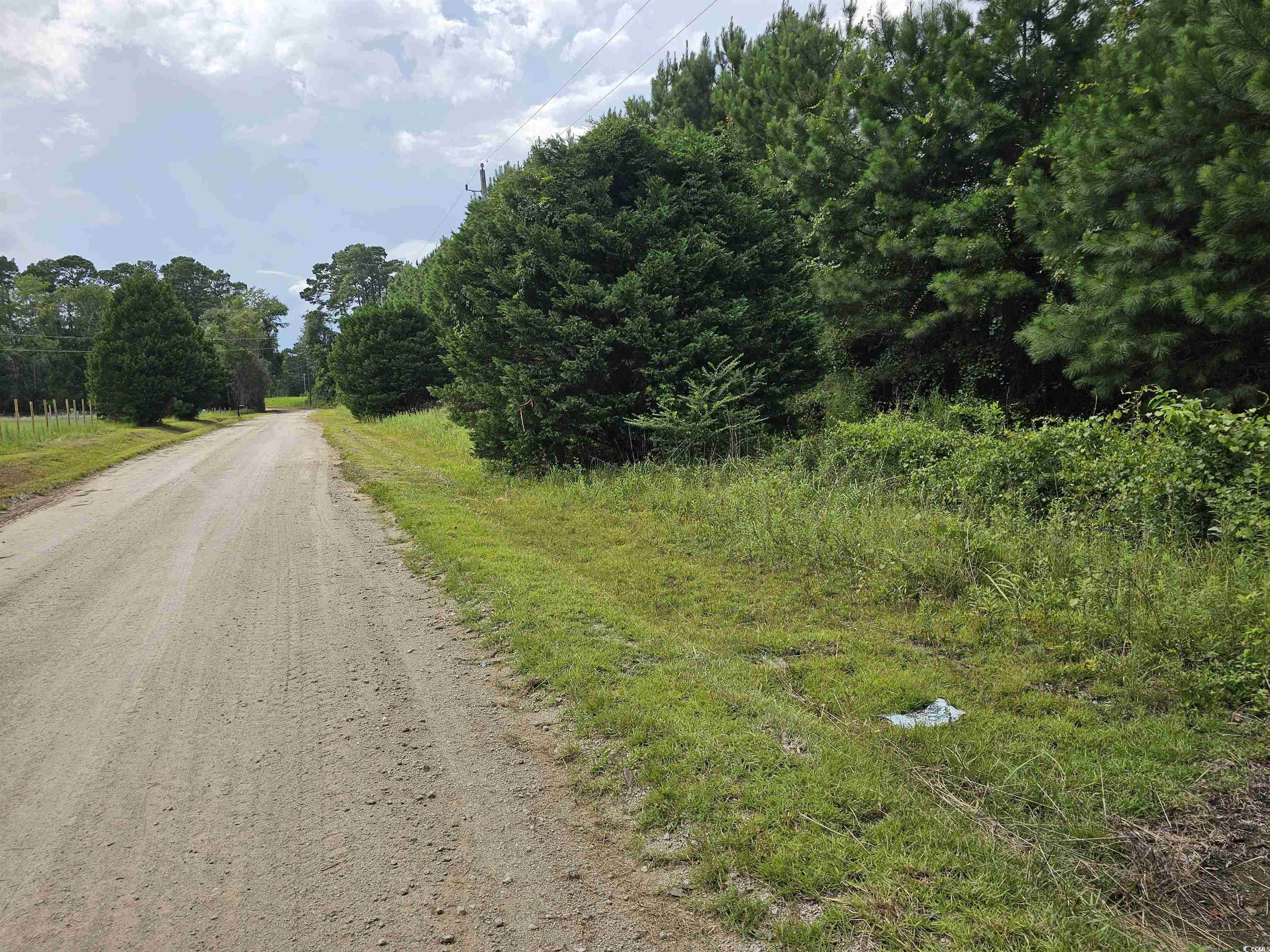 TBD 9 & 10 Powell Lane Loris, SC 29569