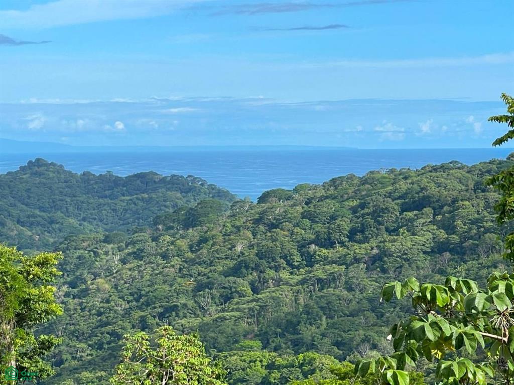 0 bed Land For Sale in Osa, Puntarenas - 1