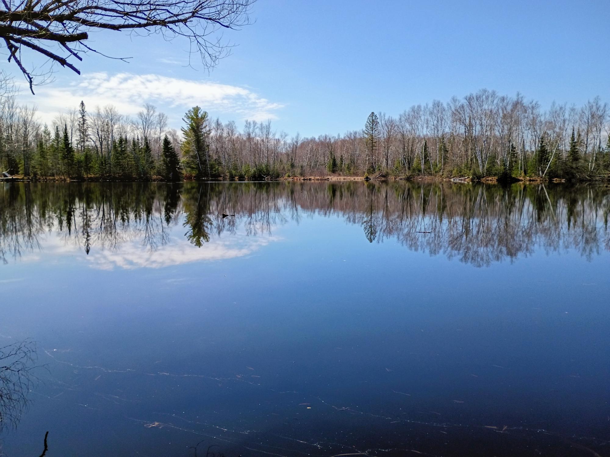 Undocumented Lake Property N9882 Woodland Ln Photo 2