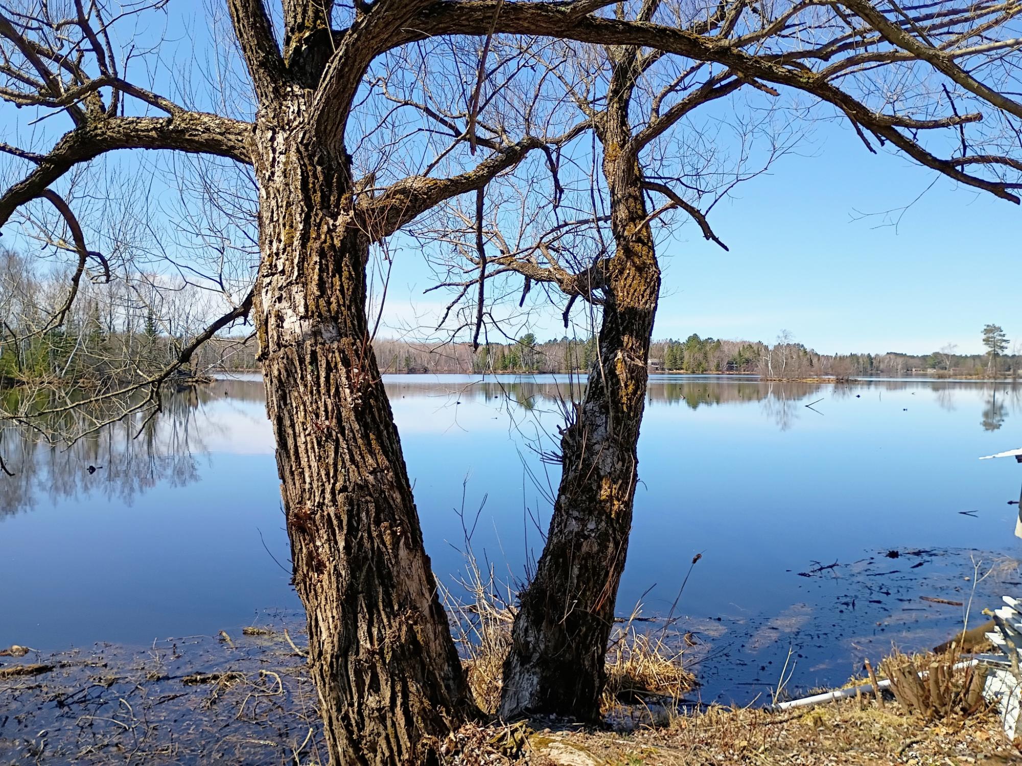 Undocumented Lake Property N9882 Woodland Ln Photo 39