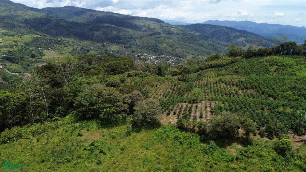 0 bed Land For Sale in Turrialba, Cartago - 1