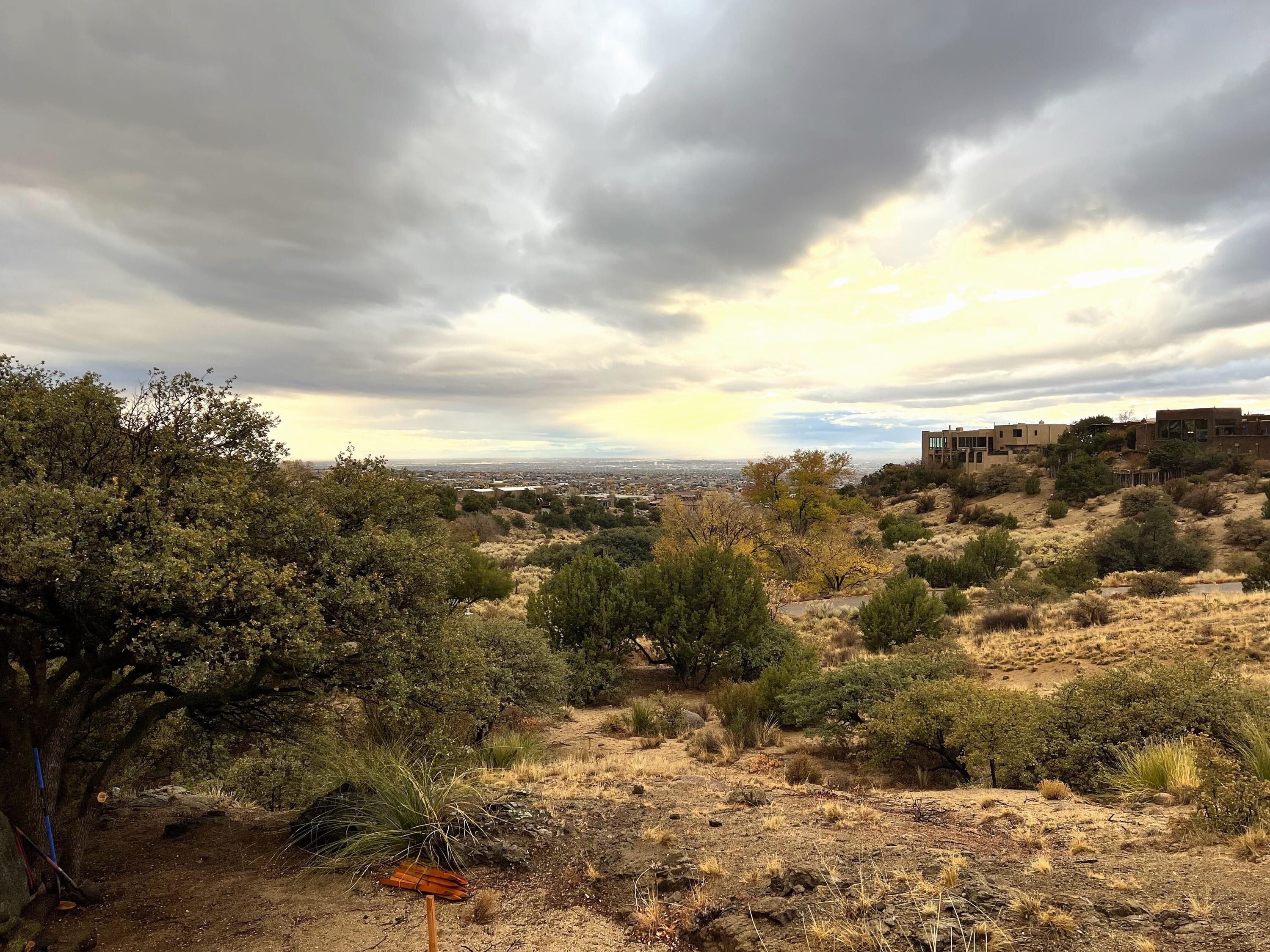 252 SPRING CREEK Place NE Albuquerque, NM 87122