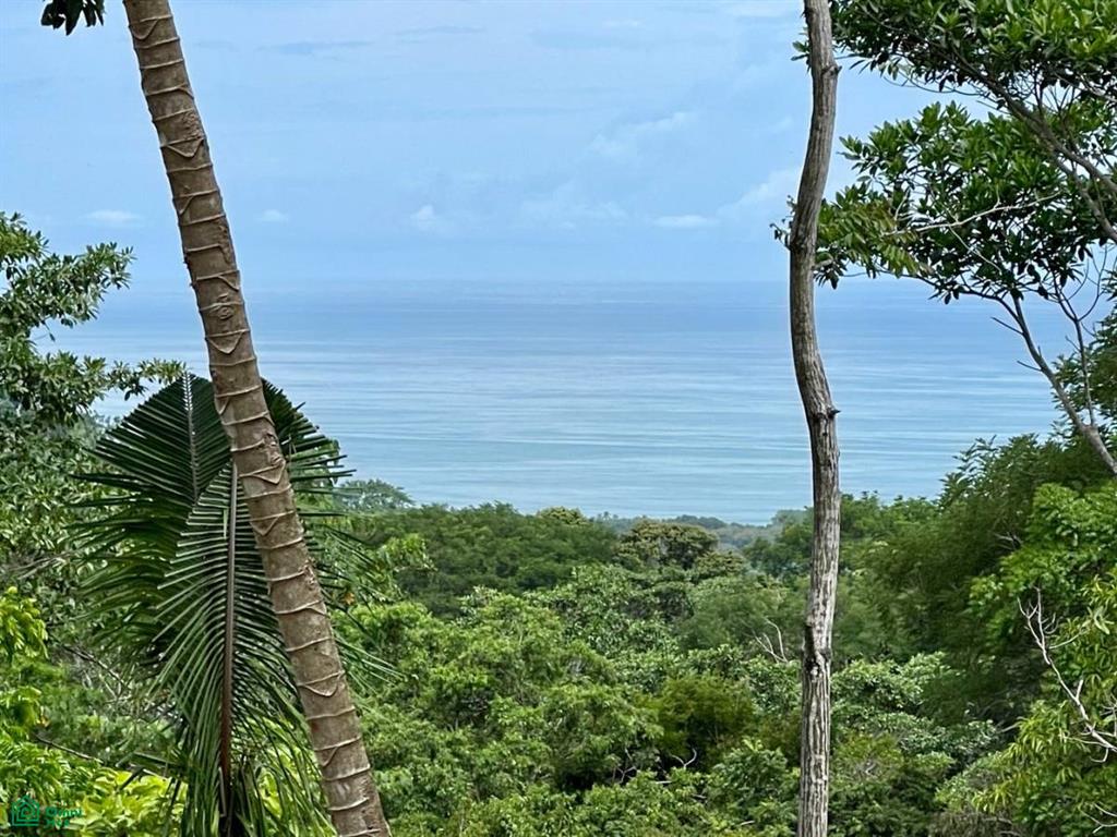 0 bed Land For Sale in Osa, Puntarenas - 1