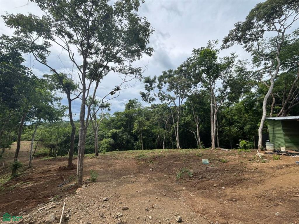 0 bed Land For Sale in Santa Cruz, Guanacaste - 1