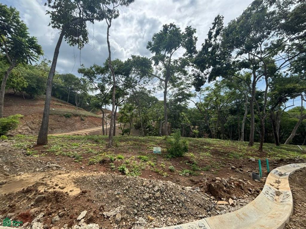 0 bed Land For Sale in Santa Cruz, Guanacaste - 1