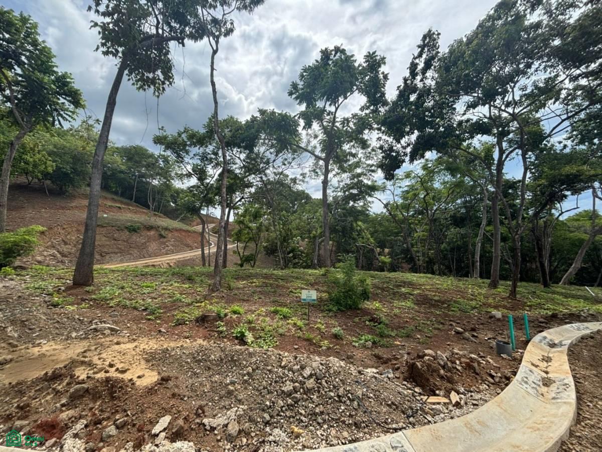 0 bed Land For Sale in Santa Cruz, Guanacaste - 1