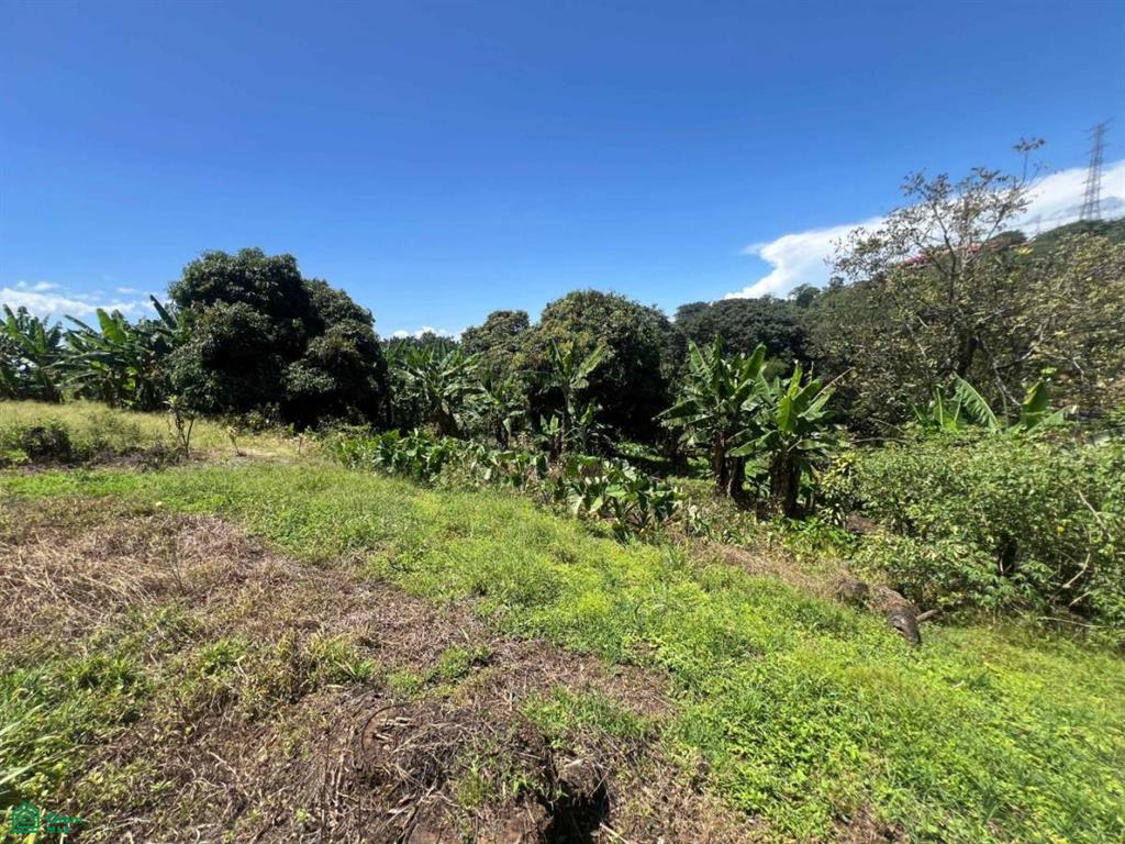 0 bed Land For Sale in Naranjo, Alajuela - 1