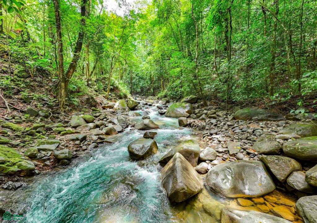 0 bed Land For Sale in Puerto Cortés, Puntarenas - 1