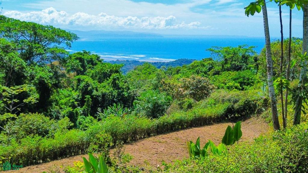 0 bed Land For Sale in Osa, Puntarenas - 1