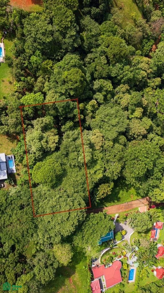 0 bed Land For Sale in Osa, Puntarenas - 1