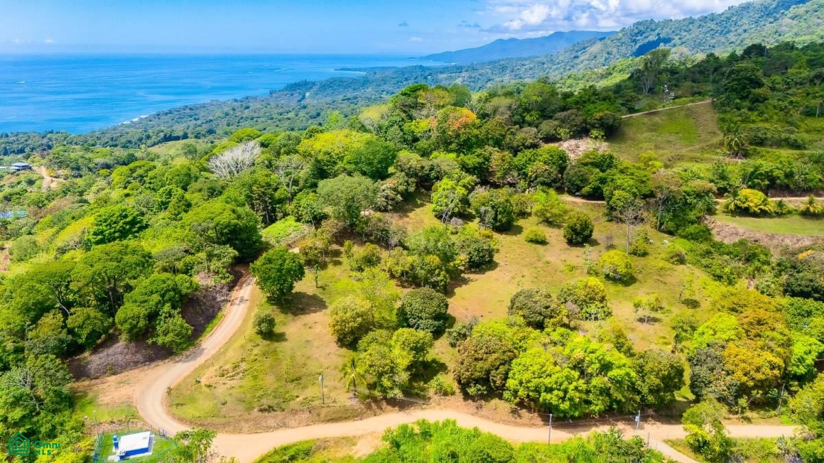 0 bed Land For Sale in Osa, Puntarenas - 1