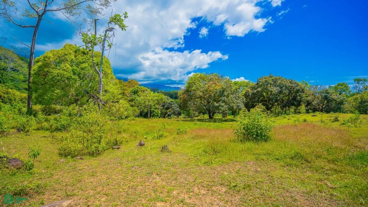 0 bed Land For Sale in Osa, Puntarenas - 1