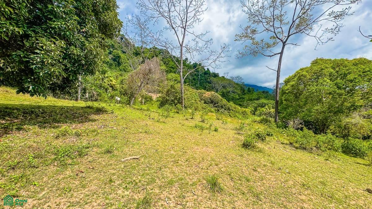 0 bed Land For Sale in Osa, Puntarenas - 1