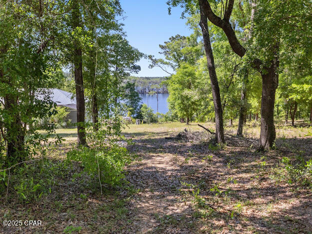 Details for 0000 Paradise Lakes Road, Chipley, FL 32428