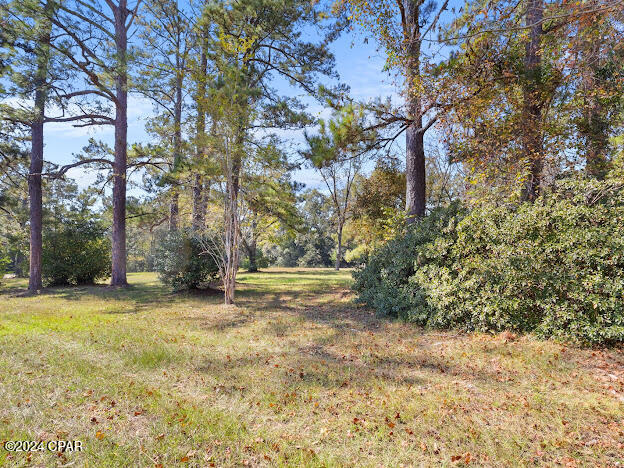 Homes for sale in Bonifay, FL | 1205 S Waukesha St, Bonifay, FL 32425 | MLS# 764578